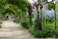 (102) 2010 Parc floral Apremont sur Allier